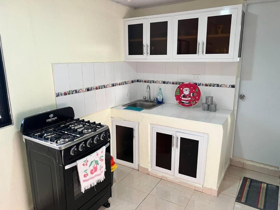 El Anexos Apartment Santiago De Los Caballeros Ngoại thất bức ảnh